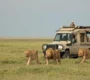 Serengeti expedition safari 01