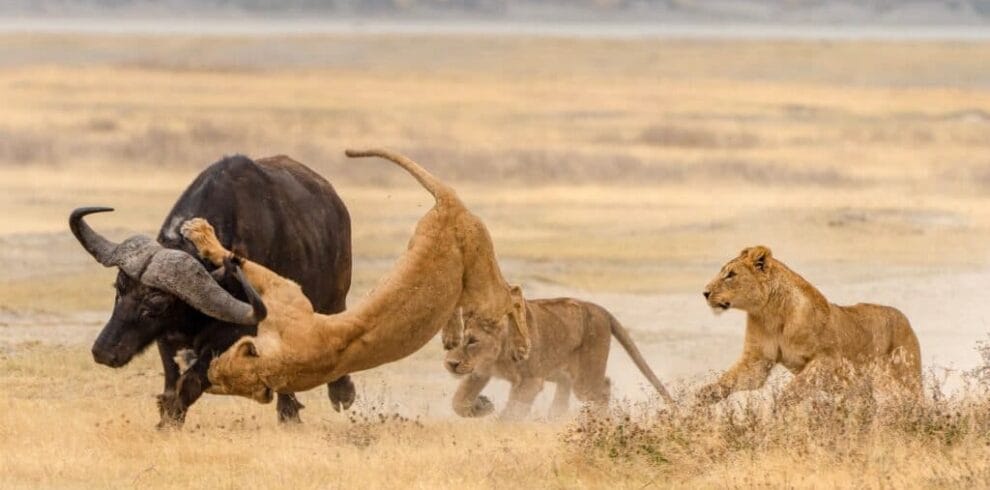 Image 2024 06 05 142340669