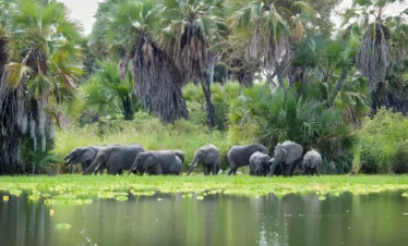 1 Day Trip From Zanzibar To Selous National Park